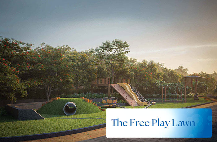 The Free Play Lawn
